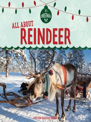 cover image of All About Reindeer